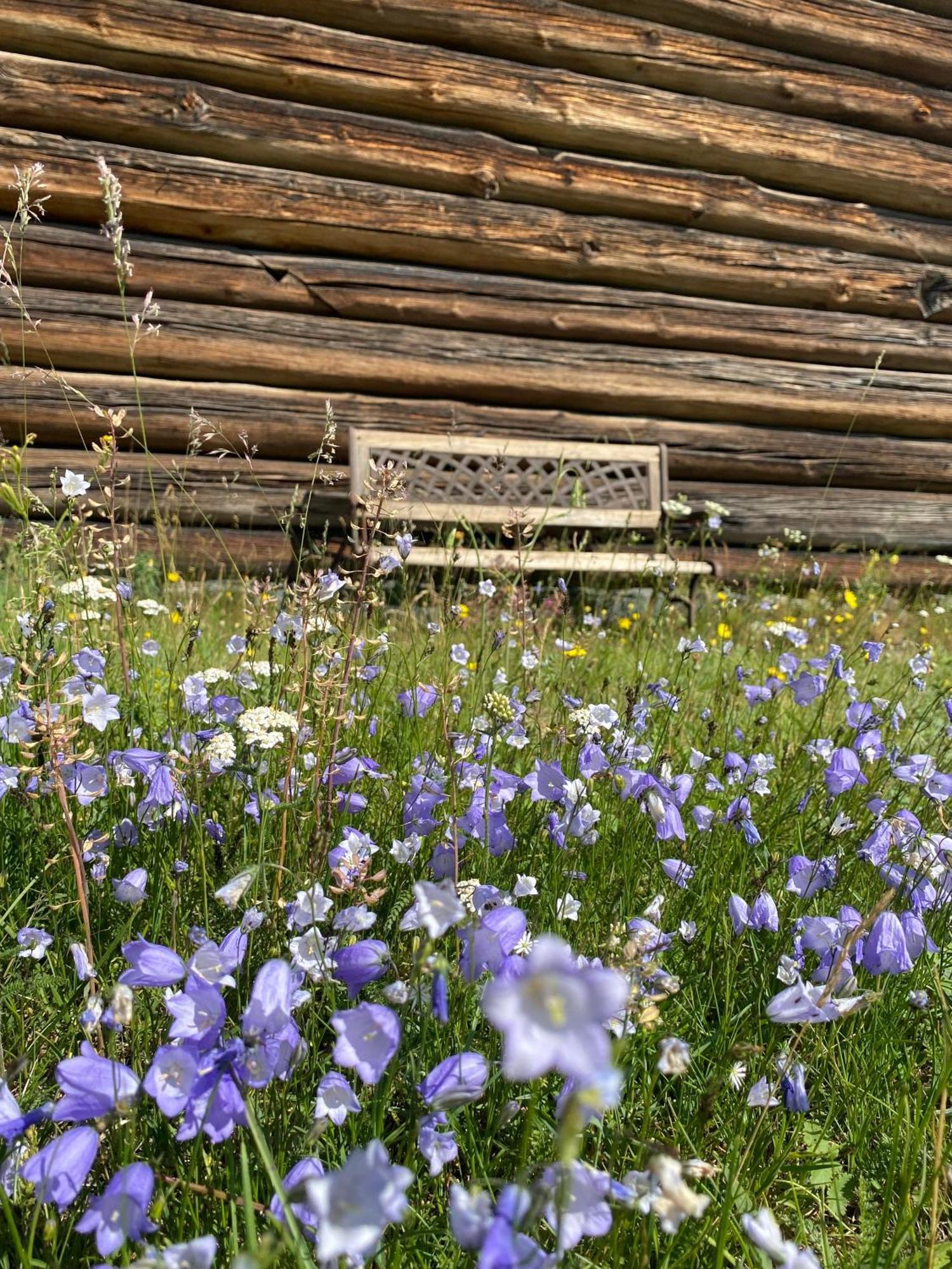 Rodberg Sevletunet B&B And Cabins المظهر الخارجي الصورة